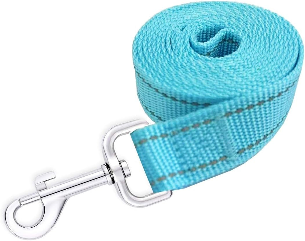 PawBloom™ Reflective Dog Leash
