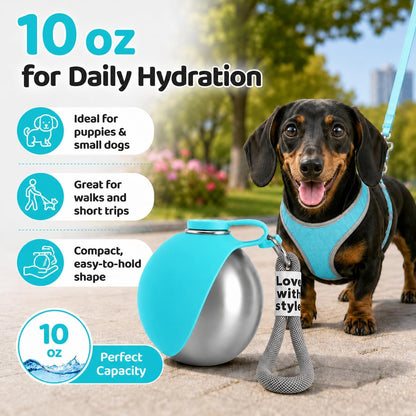 Ultimate Portable Dog Water Bottle - 10 Oz Stainless Steel Dispenser with Silicone Foldable Bowl for Hassle-Free Hydration on the Go!